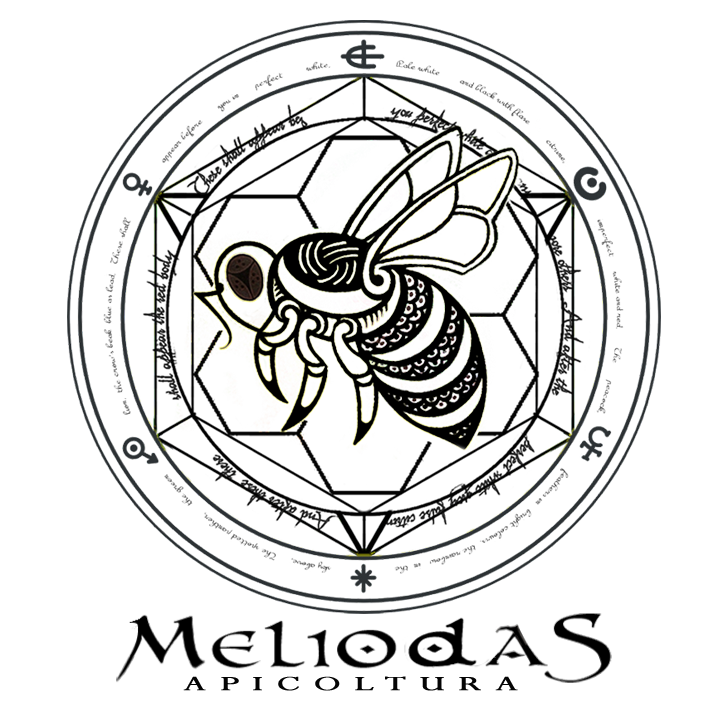 Meliodas di Marco Civico